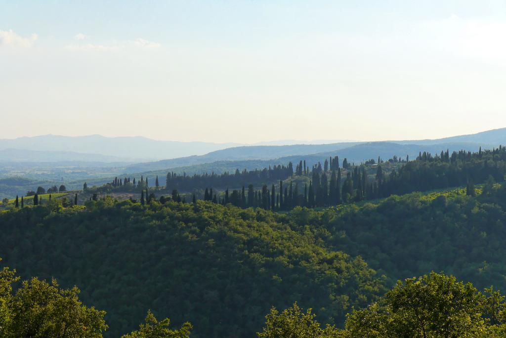 Il Crinale Villa Subbiano Room photo